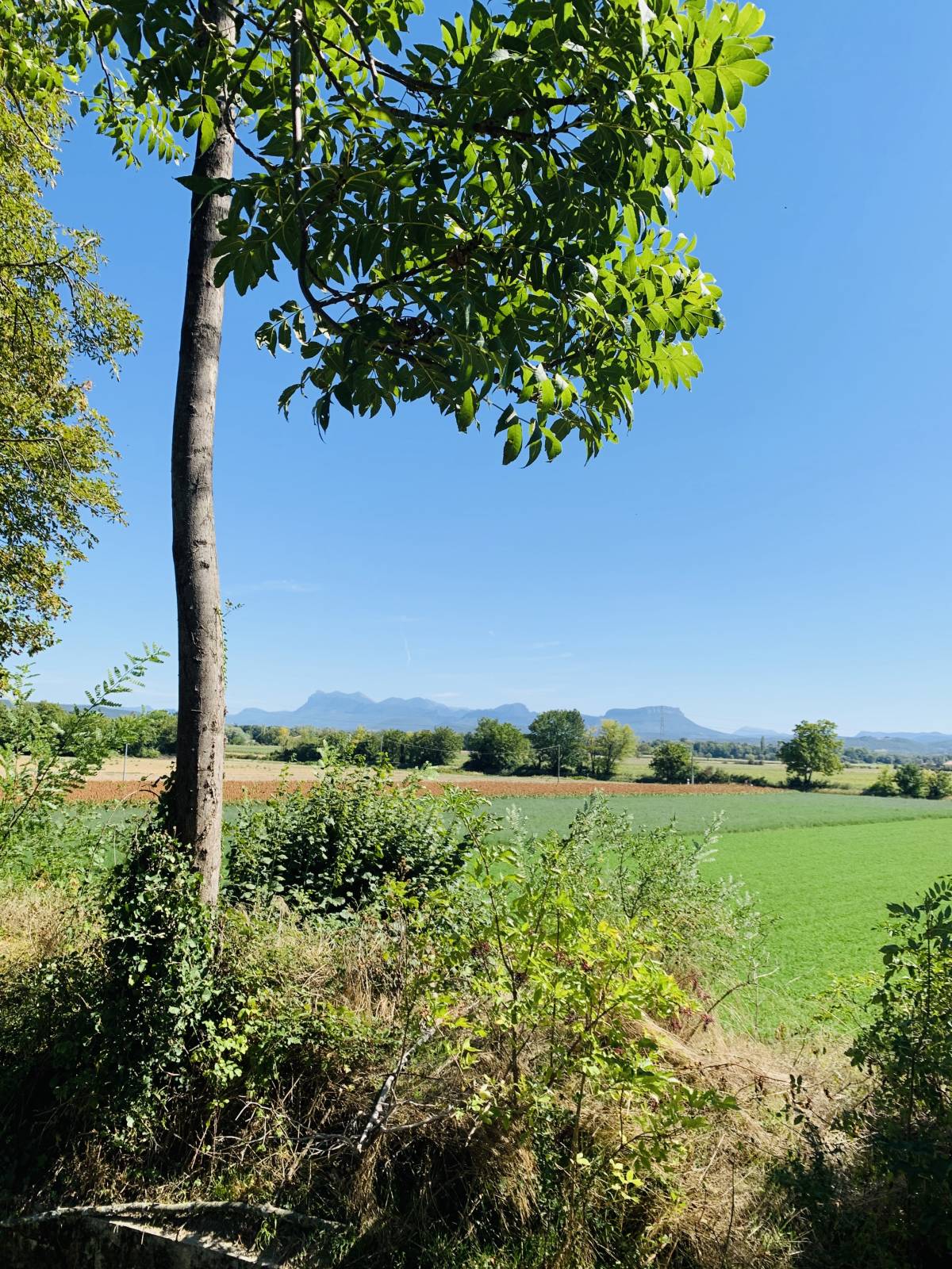 Terrain à bâtir à Allex, en Drôme provençale